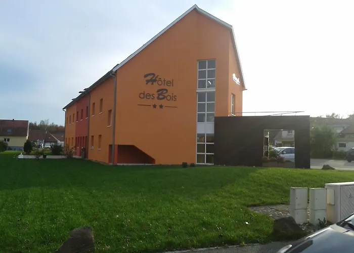 Hotel Des Bois Seltz