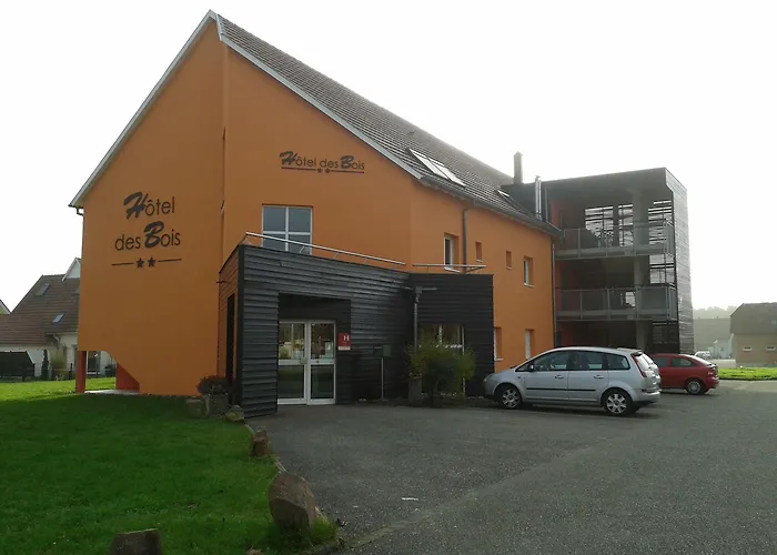 Hotel Des Bois Seltz