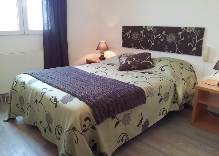 Des Bois Hotel Seltz